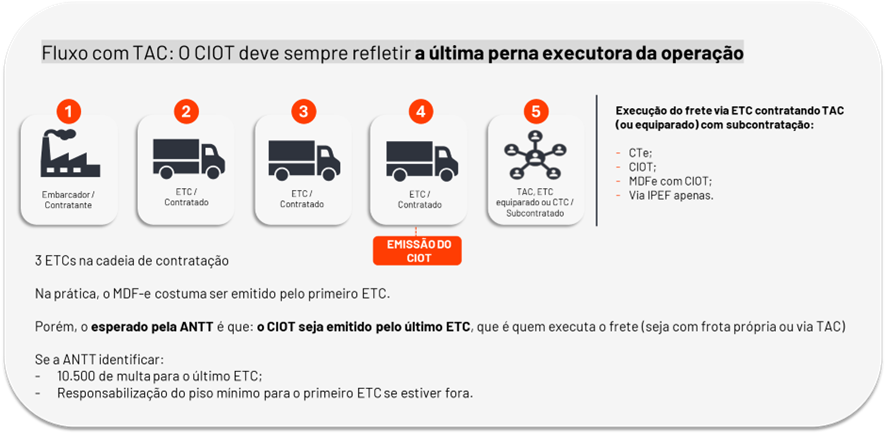 Imagem10